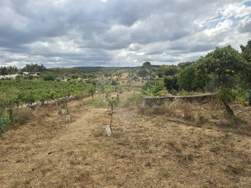 Moradia T4 para Venda em Envendos