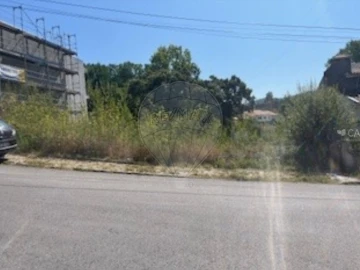 Terreno para Venda em Loureiro