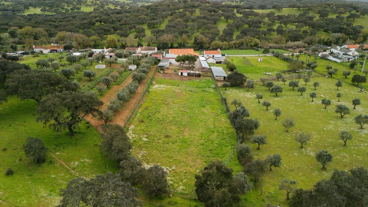 Quinta T3 para Venda em Nossa Senhora da Vila, Nossa Senhora do Bispo e Silveiras Foto 46