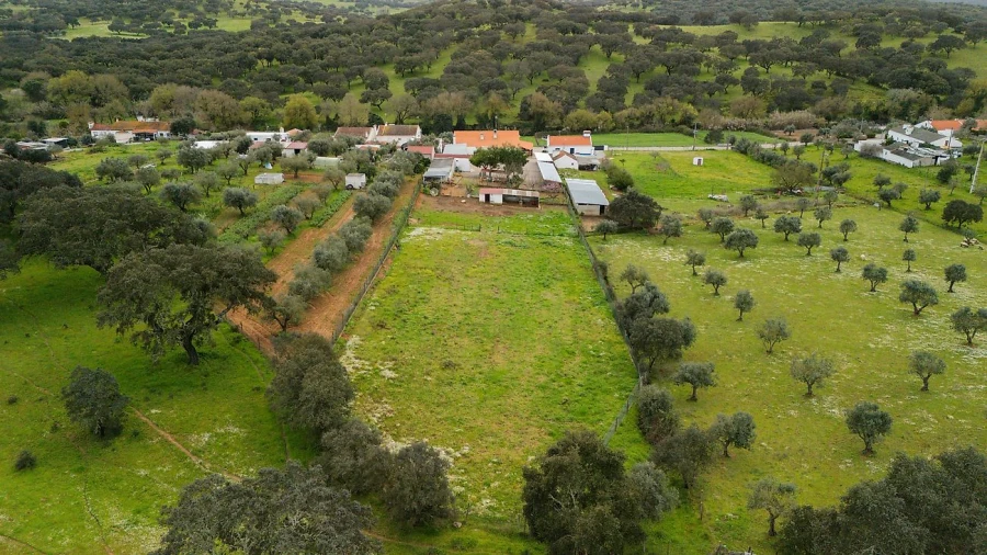 Quinta T3 para Venda em Nossa Senhora da Vila, Nossa Senhora do Bispo e Silveiras Foto 46