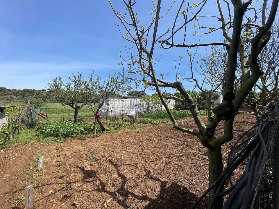 Quinta T3 para Venda em Nossa Senhora da Vila, Nossa Senhora do Bispo e Silveiras Foto 38