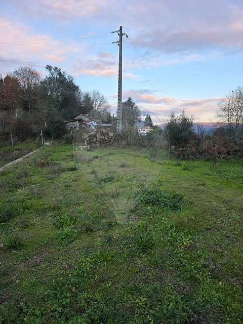 Quinta T0 para Venda em Britelo, Gémeos e Ourilhe