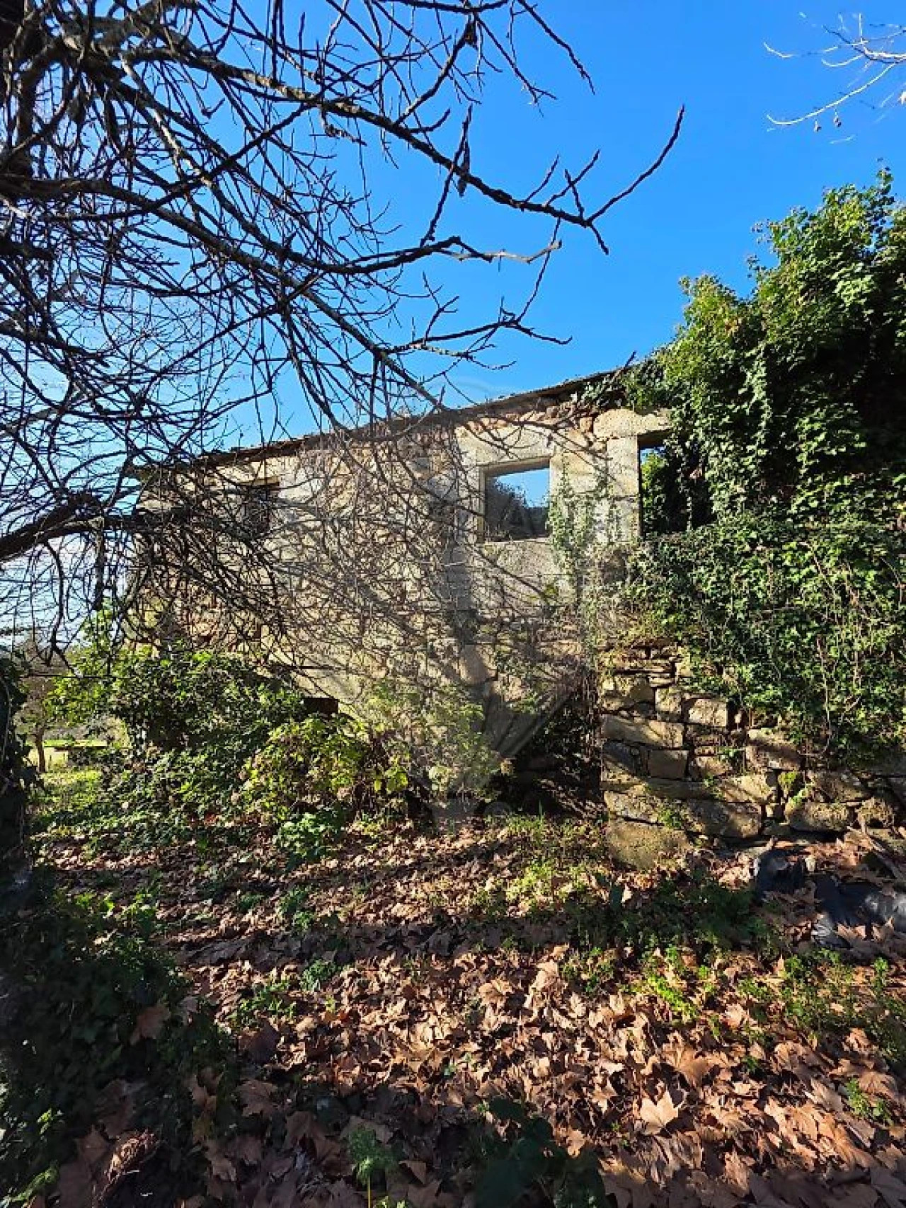 Quinta T0 para Venda em Britelo, Gémeos e Ourilhe Foto 2