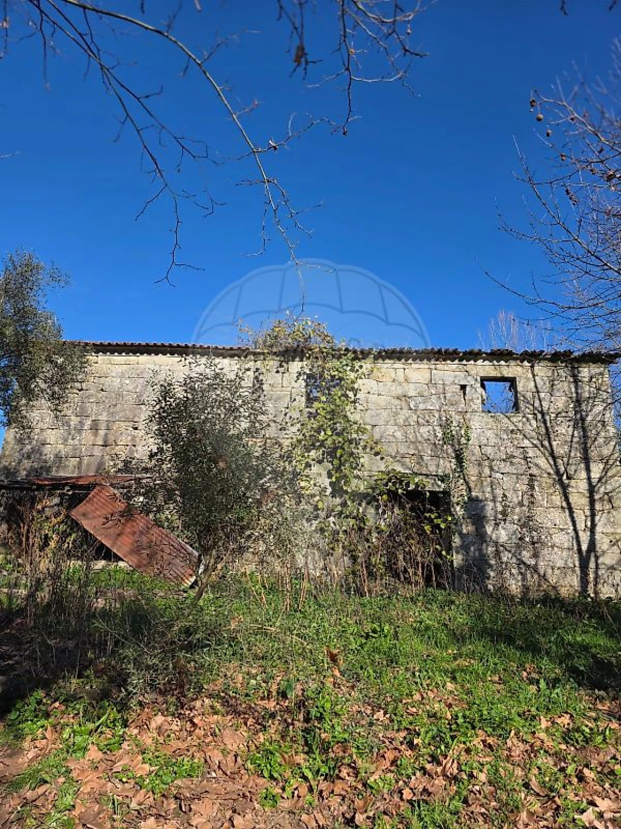 Quinta T0 para Venda em Britelo, Gémeos e Ourilhe Foto 1