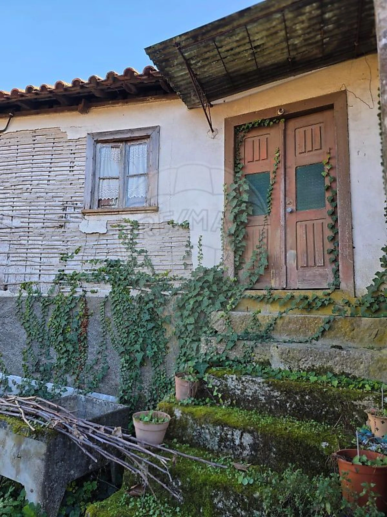 Quinta T0 para Venda em Britelo, Gémeos e Ourilhe Foto 3