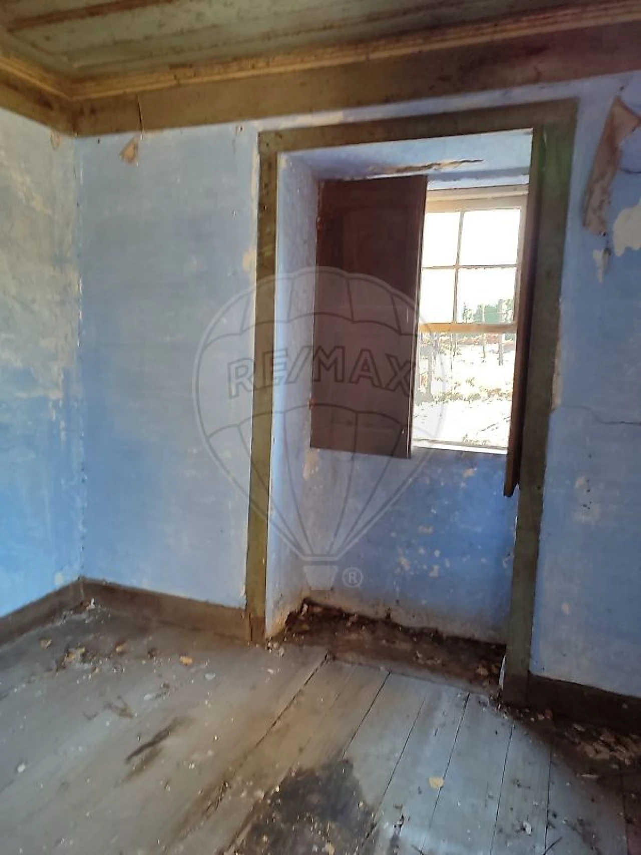 Quinta para Venda em Britelo, Gémeos e Ourilhe Foto 2