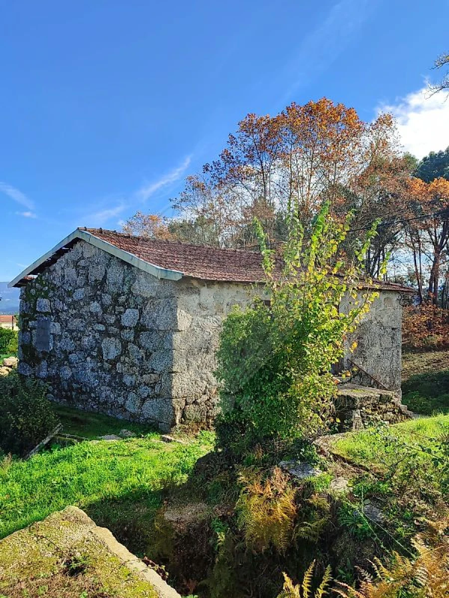 Quinta para Venda em Britelo, Gémeos e Ourilhe Foto 5