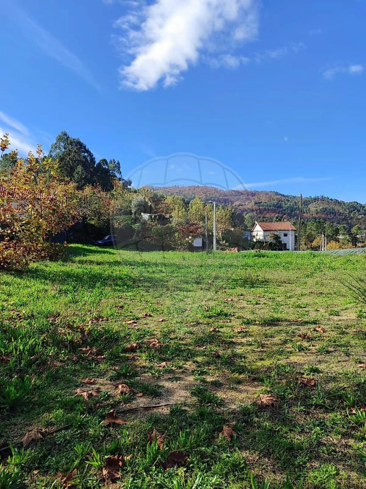 Quinta para Venda em Britelo, Gémeos e Ourilhe Foto 7