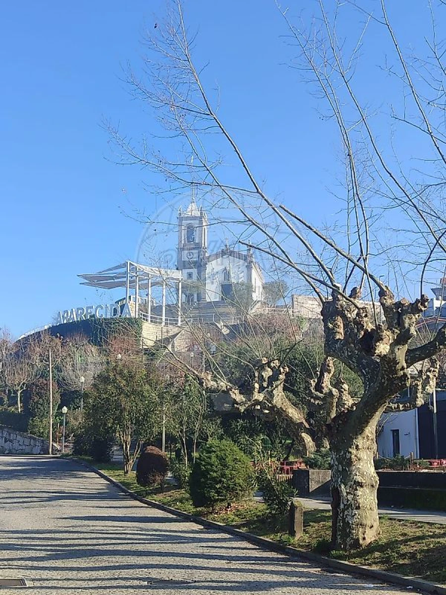 Quinta T8 para Venda em Torno Foto 5