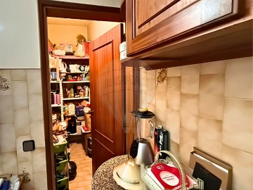 Quinta T5 para Venda em Castelo Branco