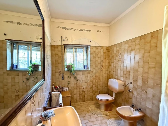 Quinta T5 para Venda em Castelo Branco Foto 23