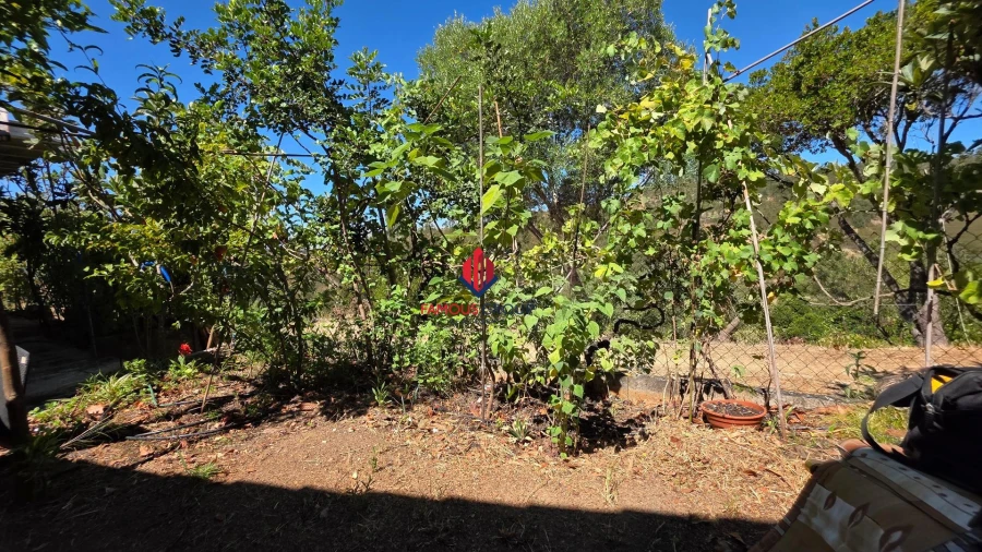 Moradia T6 para Venda em Portimão Foto 10