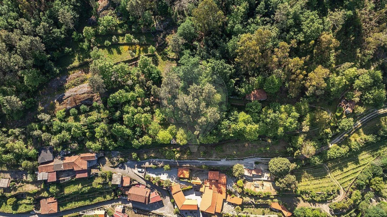 Moradia T2 para Venda em Fonte Arcada e Oliveira Foto 12
