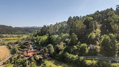 Moradia T2 para Venda em Fonte Arcada e Oliveira