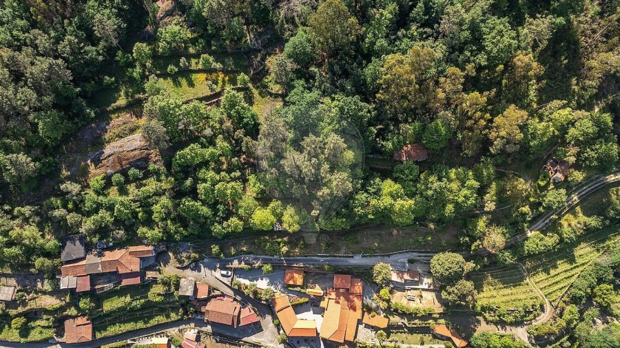 Moradia T2 para Venda em Fonte Arcada e Oliveira Foto 12