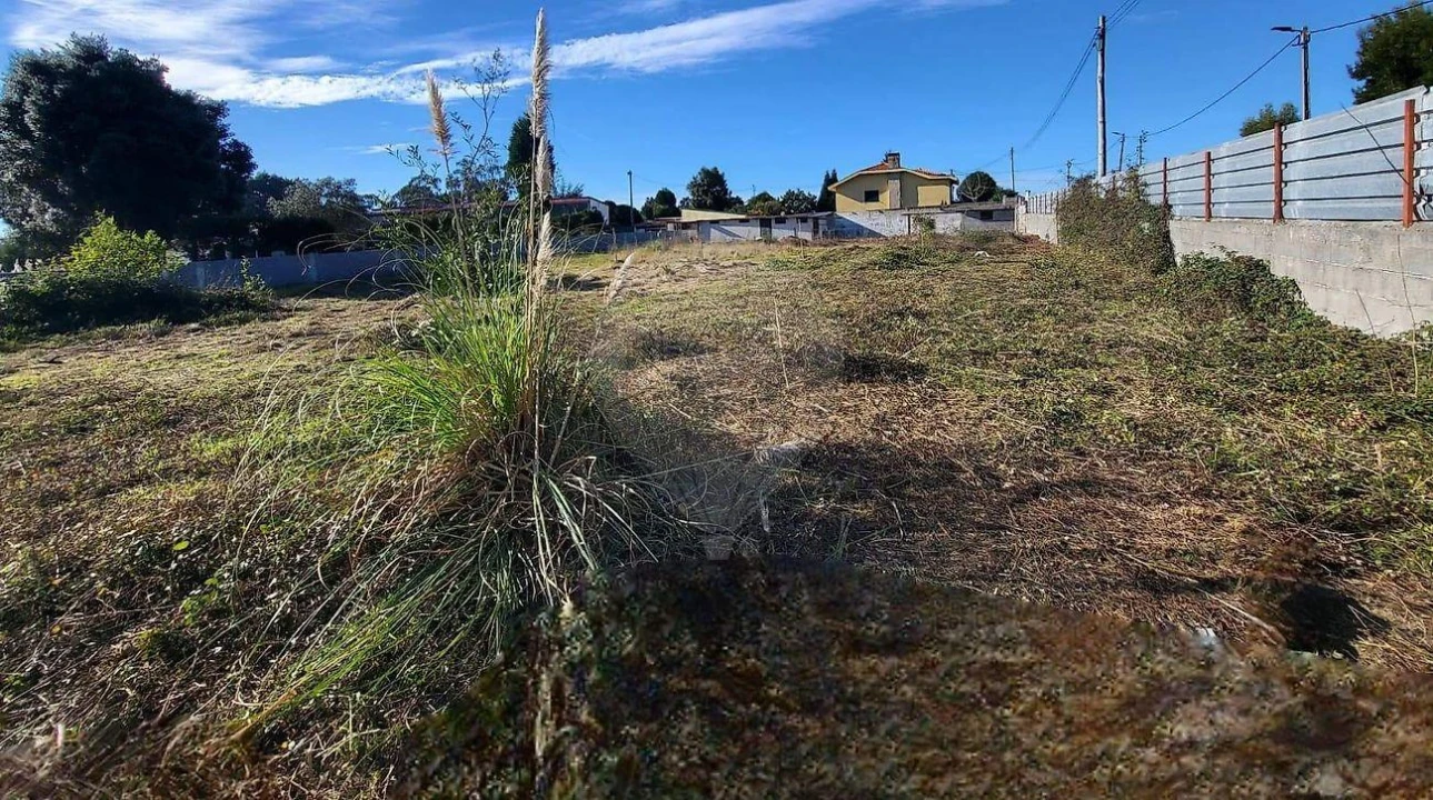 Terreno para Venda em Canelas Foto 9