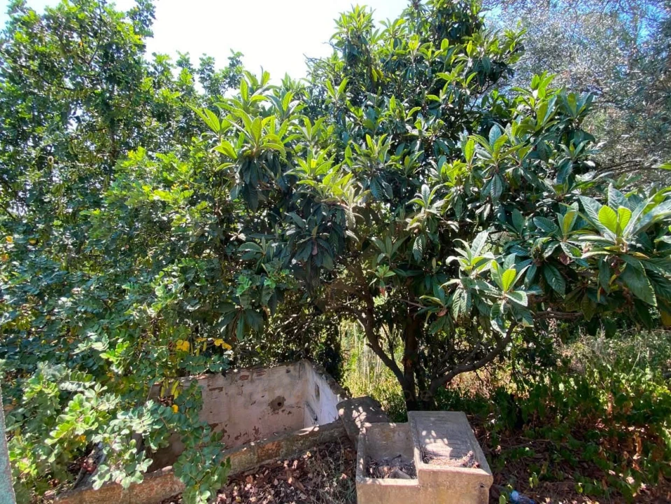 Moradia T3 para Venda em São Brás de Alportel Foto 13