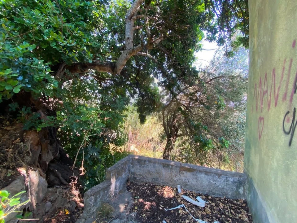 Moradia T3 para Venda em São Brás de Alportel Foto 15