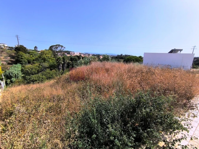 Terreno para Venda em Mafra Foto 11