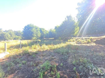 Terreno para Venda em Loivo