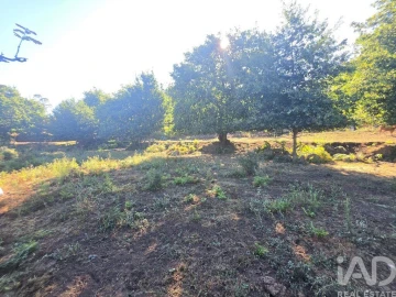 Terreno para Venda em Loivo