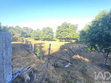 Terreno para Venda em Loivo
