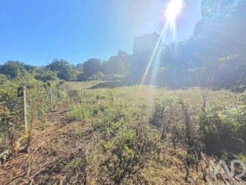 Terreno para Venda em Loivo