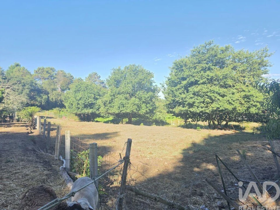 Terreno para Venda em Loivo Foto 2