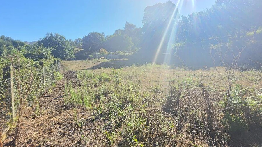 Terreno para Venda em Loivo