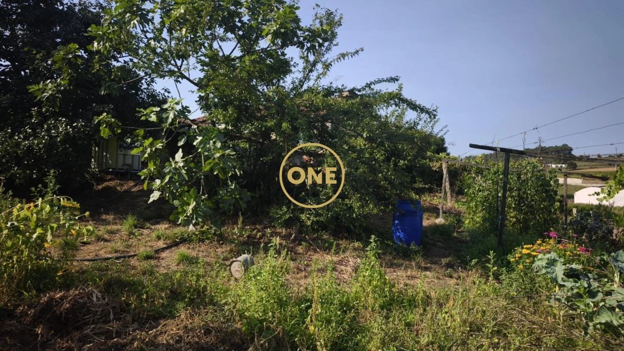 Terreno para Venda em Cristelo Foto 6