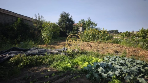 Terreno para Venda em Cristelo