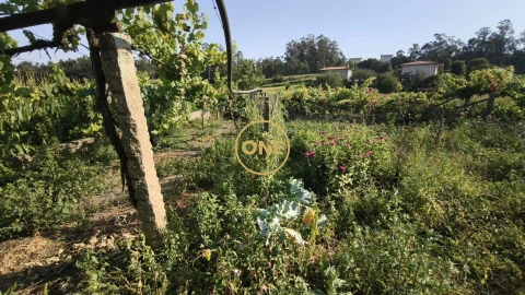 Terreno para Venda em Cristelo
