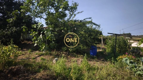 Terreno para Venda em Cristelo