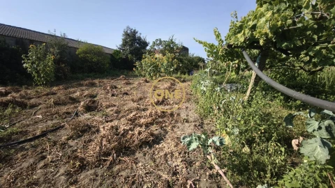 Terreno para Venda em Cristelo