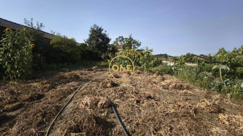 Terreno para Venda em Cristelo