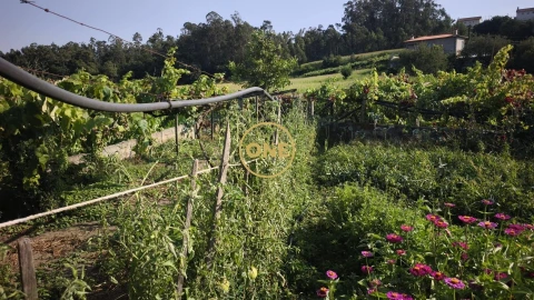 Terreno para Venda em Cristelo