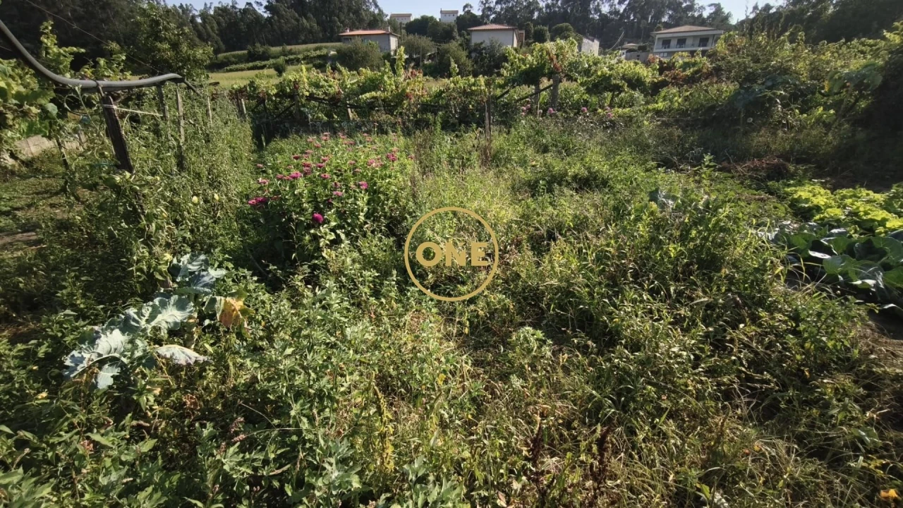 Terreno para Venda em Cristelo Foto 8