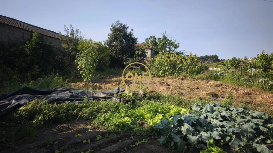 Terreno para Venda em Cristelo Foto 3