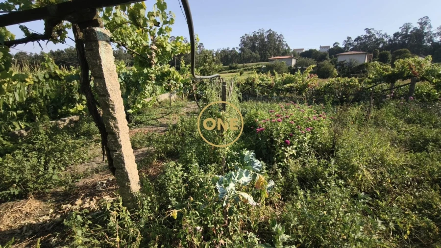 Terreno para Venda em Cristelo Foto 5