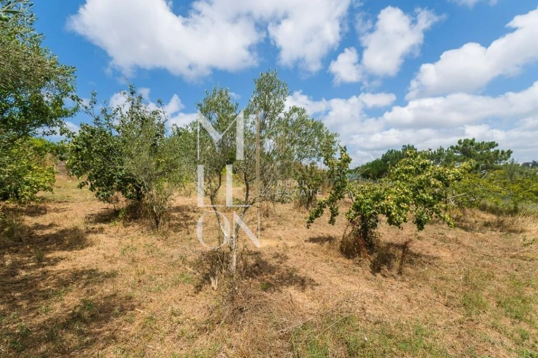 Moradia T2 para Venda em Mafra Foto 83