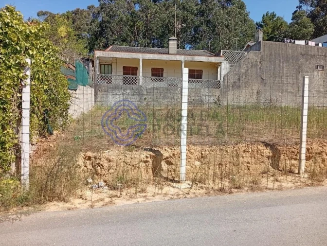 Terreno para Venda em Madalena Foto 3