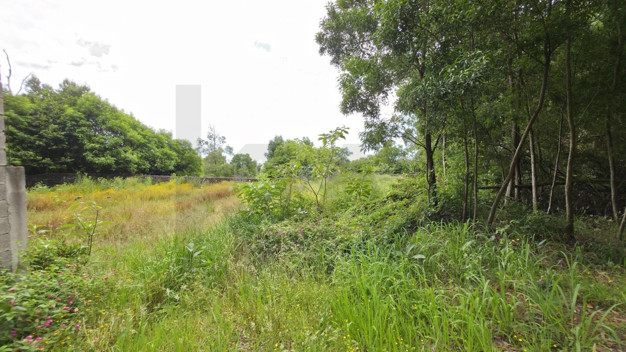Terreno para Venda em Rosto do Cão (Livramento) Foto 19