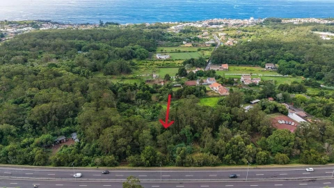 Terreno para Venda em Rosto do Cão (Livramento)