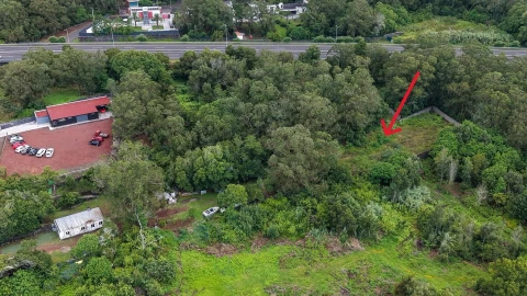 Terreno para Venda em Rosto do Cão (Livramento)