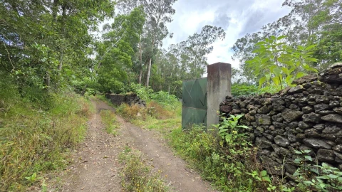 Terreno para Venda em Rosto do Cão (Livramento)