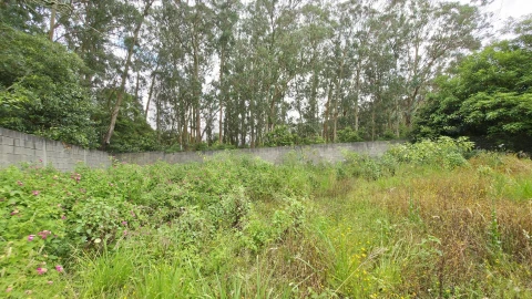 Terreno para Venda em Rosto do Cão (Livramento)