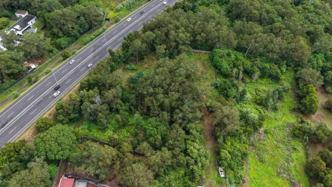 Terreno para Venda em Rosto do Cão (Livramento)