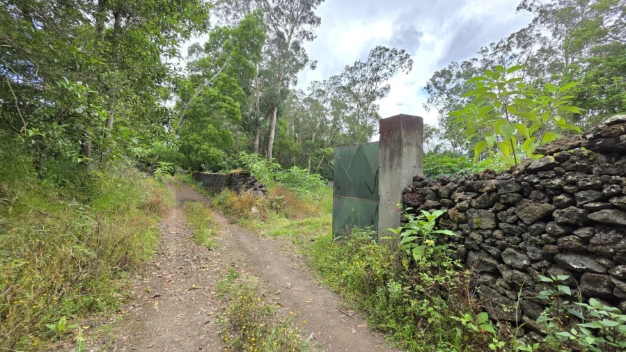 Terreno para Venda em Rosto do Cão (Livramento) Foto 6
