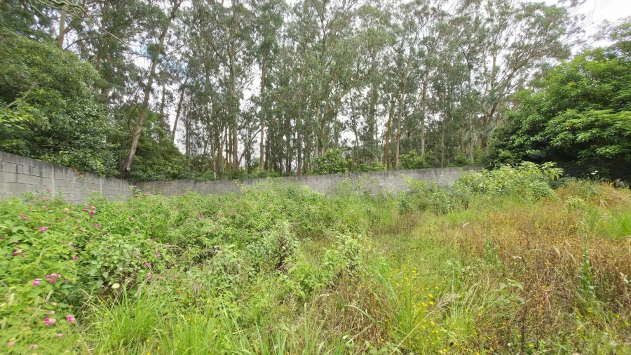 Terreno para Venda em Rosto do Cão (Livramento) Foto 2