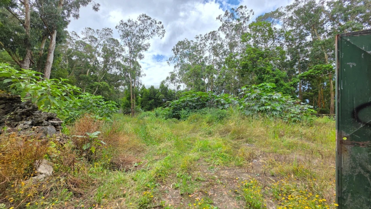 Terreno para Venda em Rosto do Cão (Livramento) Foto 15